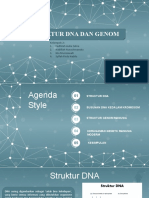 DNA dan struktur genom manusia