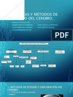 Tecnicas Ym Todos de Estudio Del Cerebro