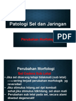 Perubahan Morfologik Sel