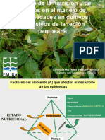 CARMONA - Impacto de La Nutrición y El Uso de Fosfitos en El Manejo de Enfermedades