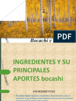 Bocachi y Purines V1