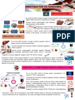 Infografia Sanguinea