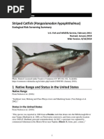 Pakol Fish: Characteristics and Habitat | PDF