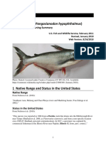 Striped Catfish (Pangasianodon Hypophthalmus) : Ecological Risk Screening Summary