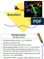 02 Biomolekul
