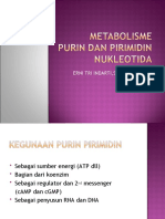 A.metabolisme Purin Pirimidin B Erni