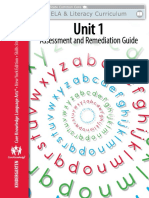 Assessment and Remediation Guide: Unit 1
