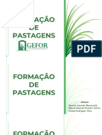 E-book Formação de Pastagens