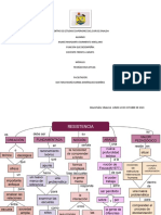 Mapa Conceptual Teoría de La Resistencia