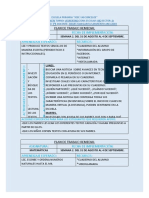 5.plan Remedial Semana 2