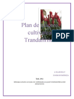 Referat Plan de Trandafiri