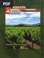 Revista Dragoste pentru Adevăr - Nr. 62/2019