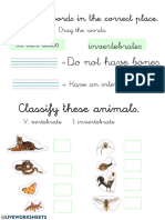 Sort Animals by Vertebrate or Invertebrate