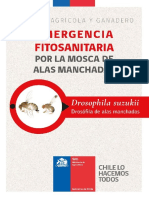 Folleto Drosophila 18