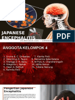 Japanese Encephalitis Fix