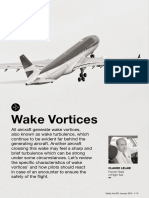 Wake Vortices