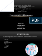 homeostasis y hemostasia