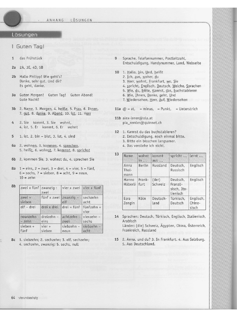 Netzwerk A1 INTENSIVTRAINER PDF