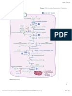 Chapter 1 Biochemistry: Carbohydrate Metabolism: Glycolysis