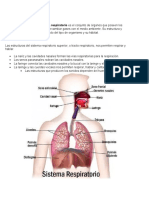 Sistemas Cuerpo Humano