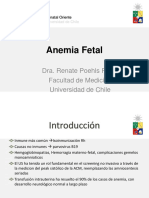 Anemia Fetal Dra Renate Poehls Rivas Archivo