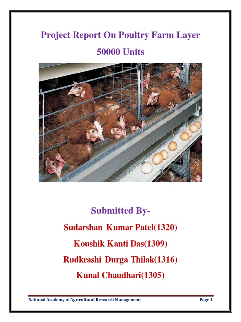 Poultry Farming Pdf Environment Control Poultry Farm In Ajmer