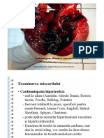 3_Diagnostic necropsic carnivore domestice