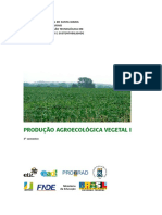 Produção Agroecologica Vegetal
