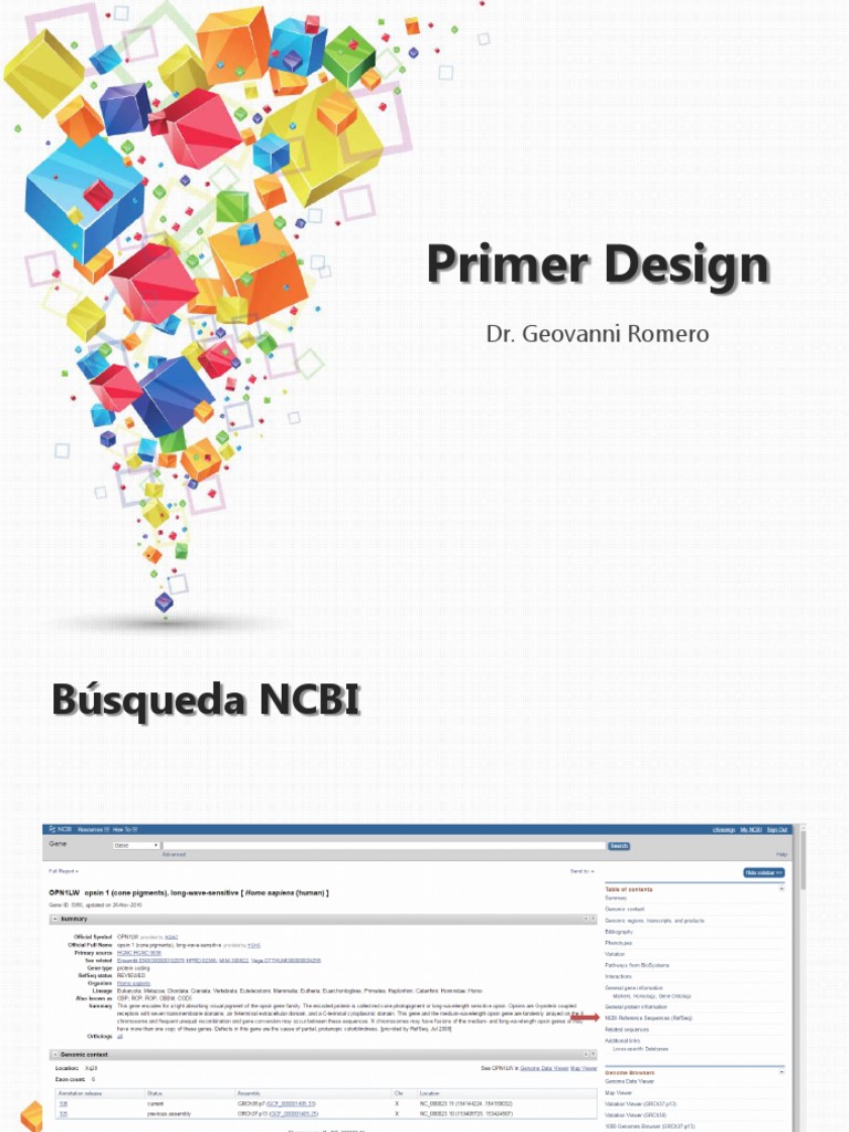 Primer Design NCBI PDF