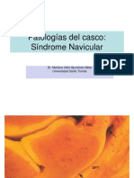 (SME) (Patologías Del Casco) Sindrome Navicular