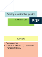 (SME) Patologías Miembro Pélvico