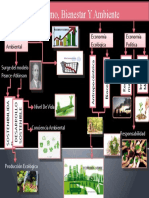 Mapa Mental Ecoomia Critica