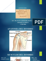 Lesiones Del Hombro