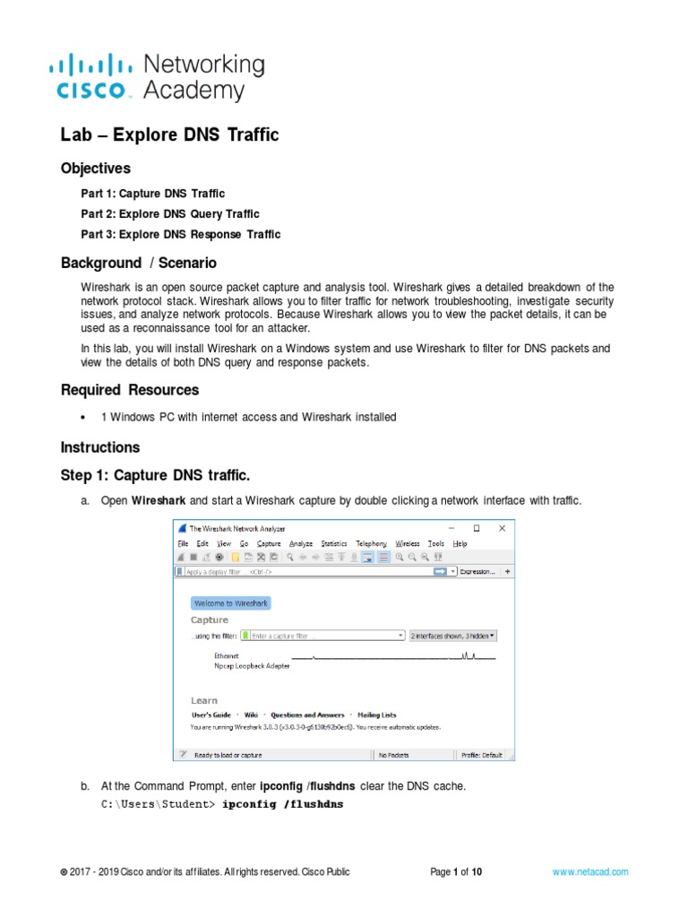 Lab Explore DNS Traffic Objectives Download Free PDF Domain Name