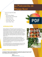 Almacenamiento y Manejo Postcosecha de Mango Kent