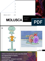 Molusca