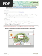 38+ Photosynthesis animation student worksheet answers