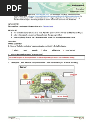photosynthesis-student-worksheet-with-answers-pdf-photosynthesis-biochemistry