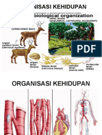 organisasi-kehidupan