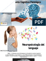 Funcionamiento Cognitivo Patológico