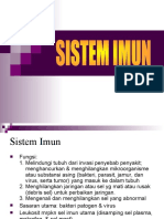 Anatomi Sistem Imun