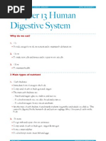Download Chapter 13 Human Digestive System by Terence Tay SN49240283 doc pdf
