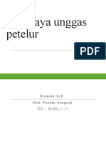 Budidaya Unggas Petelur (Absen 21)