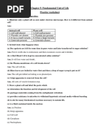 Chapter 5: Fundamental Unit of Life Practice Worksheet: (B) Golgi Apparatus (C) Cell Wall (D) Cytoplasm (E) Nucleoplasm