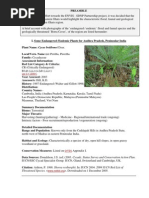 Download endemic plants list by rash2100 SN49240726 doc pdf