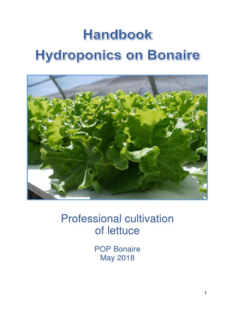 Handbook Hydroponics On Bonaire Download Free PDF Lettuce Sowing