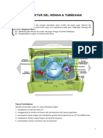 Ukbm Biologi 3.1