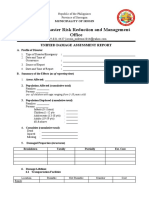 Municipal Disaster Risk Reduction and Management Office: Unified Damage Assessment Report