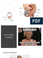 Semiologia urologica