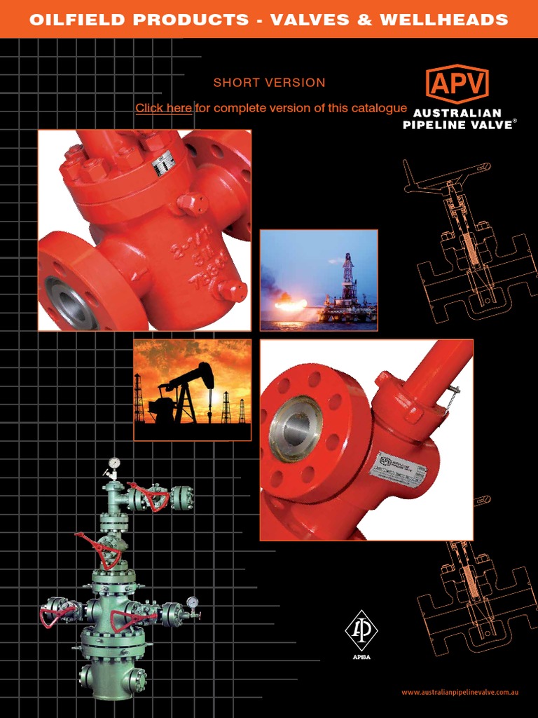 APV (Austrian Pipe Valve) | PDF | Casing (Borehole) | Pipe (Fluid ...